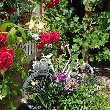 Romantisches Rosencottage Hofheim in Unterfranken 외부 사진