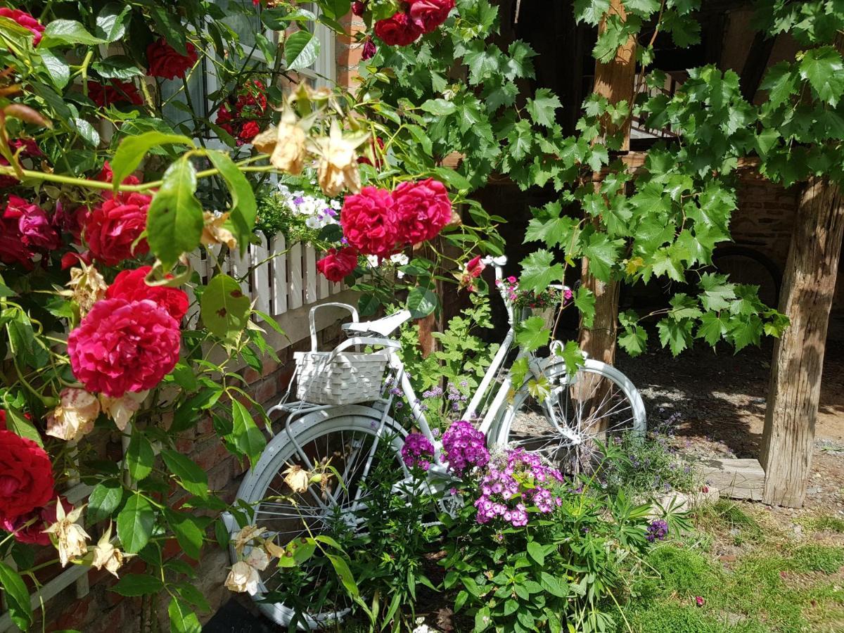Romantisches Rosencottage Hofheim in Unterfranken 외부 사진